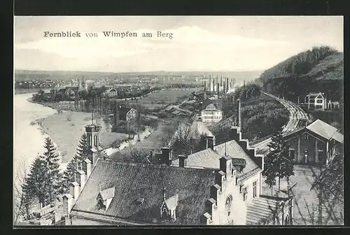 AK Wimpfen am Berg, Fernblick auf die Stadt