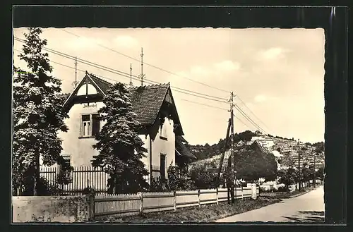 AK Diesbar-Nieschütz / Elbe, Gasthaus Immenhof