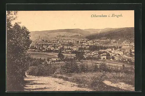 AK Olbernhau / Erzgeb., Blick vom Berg auf die Stadt