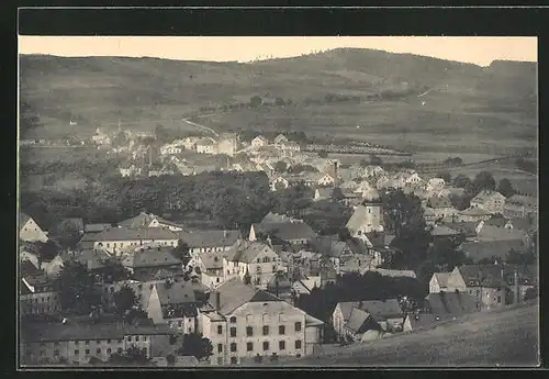 AK Olbernhau / Erzgeb., Blick von der Bergwiese auf die Stadt