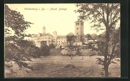 AK Waldenburg i. Sa., Blick zum Fürstl. Schloss