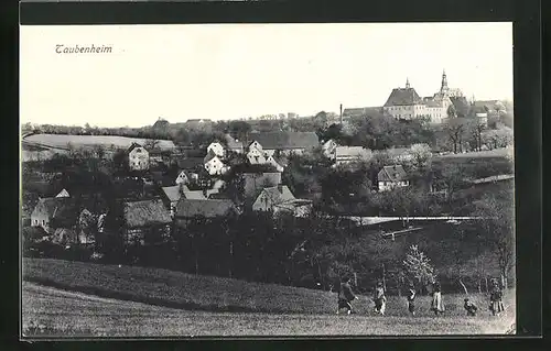 AK Taubenheim, Panoramablick von der Bergwiese