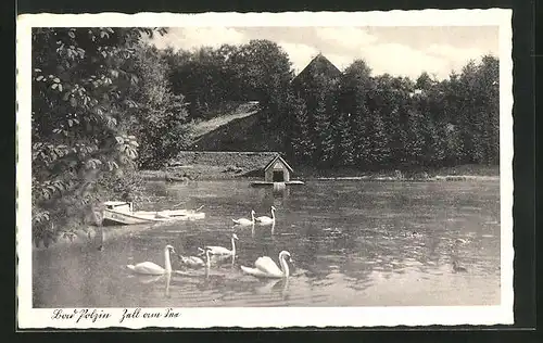 AK Bad Polzin, am Schwanensee