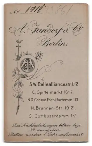 Fotografie A. Jandorf & Co., Berlin-SW, Bellealliancestrasse 1-2, Portrait junges Mädchen im Kleid