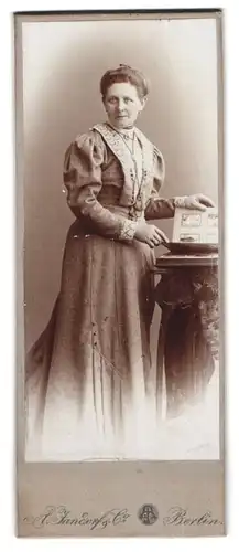 Fotografie A. Jandorf & Co., Berlin-SW, Bellealliancestrasse 1-2, Portrait bürgerliche Dame mit einem Album