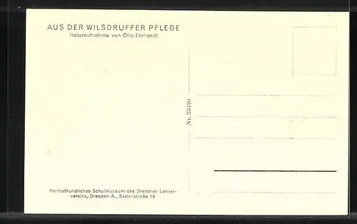 AK Wilsdruff, Wilsdruffer Pflege, Ortspartie mit Heuwagen