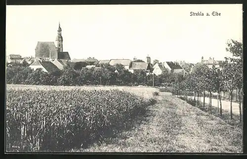 AK Strehla a. Elbe, Teilansicht mit Kirche