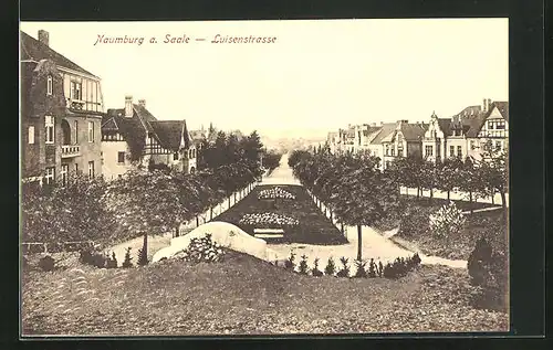 AK Naumburg a. Saale, Luisenstrasse mit Bäumen und Blumenbeeten