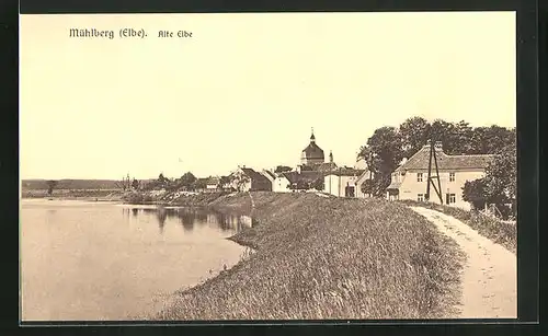 AK Mühlberg /Elbe, Alte Elbe