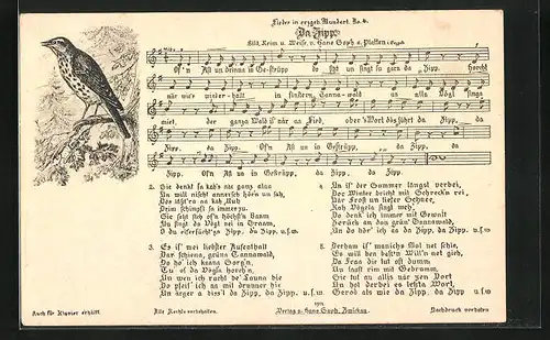 AK Lieder in erzgeb. Mundart No. 4: Da Zipp, Vogel auf einem Zweig, Noten