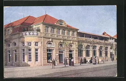 AK Dresden-Weisser Hirsch, Ansicht vom Park-Hotel