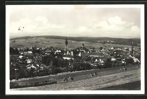 Foto-AK Netolice, Gesamtansicht des Ortes mit Kirche