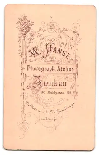 Fotografie W. Panse, Zwickau, Mühlgasse 605, Portrait junge Dame mit Hochsteckfrisur