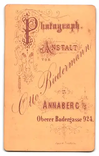 Fotografie Otto Biedermann, Annaberg, Obere Badergasse 924, Portrait kleines Mädchen im Kleid