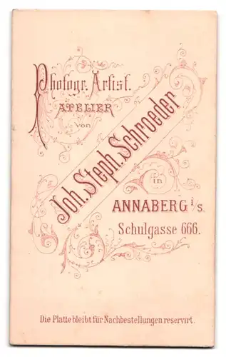 Fotografie Joh. Steph. Schroeder, Annaberg i /S., Schulgasse 666, Portrait junger Herr im Anzug mit Fliege