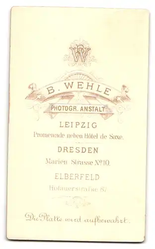 Fotografie B. Wehle, Dresden, Marien-Strasse 10, Portrait junger Herr im Anzug mit Krawatte