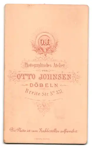 Fotografie Otto Johnsen, Döbeln, Breite Strasse 331, Brustportrait älterer Herr mit Fliege und Vollbart