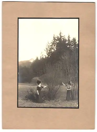 Fotografie Sippel, Ort unbekannt, elegante Damen pflücken Weidenzweige