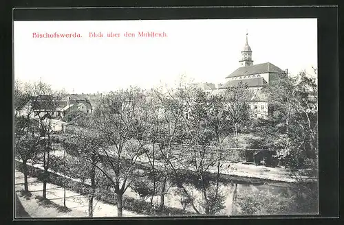 AK Bischofswerda, Blick über den Mühlteich zur Kirche