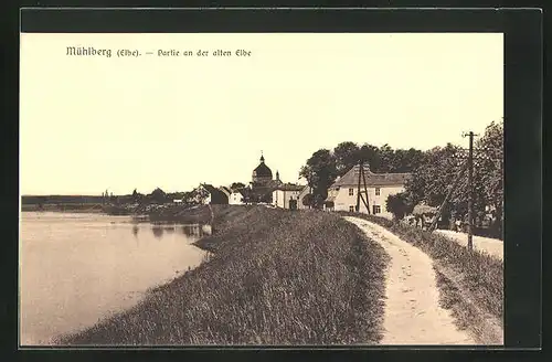 AK Mühlberg /Elbe, Partie an der alten Elbe
