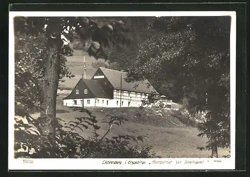 Foto-AK Walter Hahn, Dresden, Nr. 12592: Lichtenberg i. Erzgebirge, Forstgasthof zur Schwingerei
