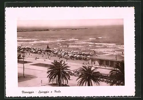 AK Viareggio, Spiaggia e Molo