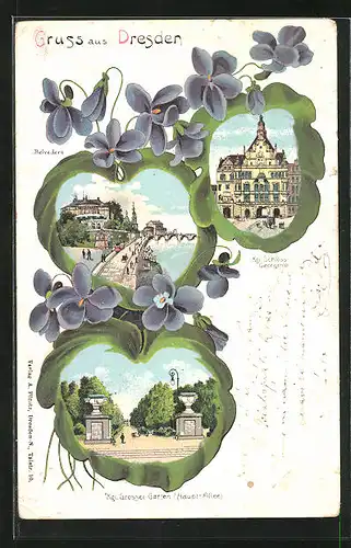 Passepartout-Lithographie Dresden, Kgl. Schloss, Belvedere, Kgl. Grosser Garten