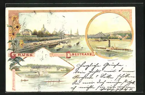 Lithographie Dresden, Blick von der Elbe auf die Innenstadt, Pillnitz, Dampfer bei Loschwitz