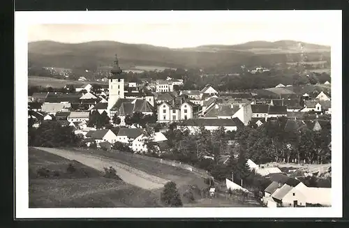 AK Netolice, Panorama