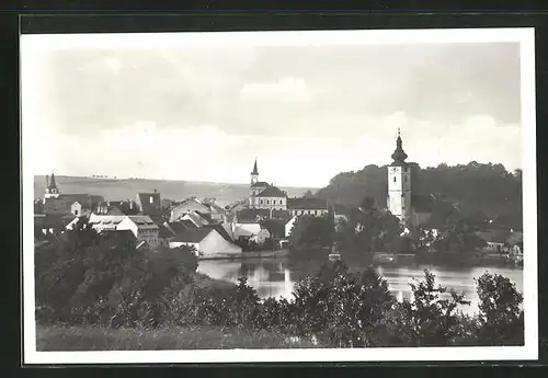 AK Netolice s rybnikem Mnichem, Panorama