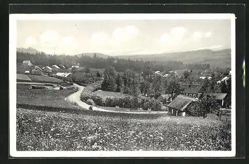 AK Nerezin pod Valdekem, Blick auf das idyllisch gelegene Dorf