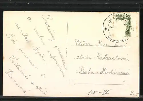 AK Jince, Strassenpartie am Sanatorium