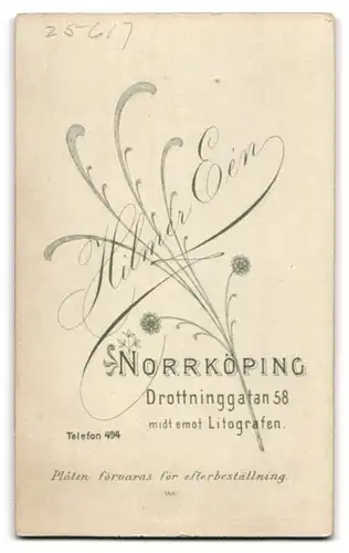 Fotografie Hilmer Een, Norrköping, Portrait Hochzeitspaar im schwarzen Kleid und Anzug mit weissem Schleier