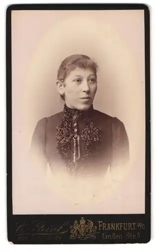 Fotografie C. Stienl, Frankfurt a /O., Linden-Strasse 5, Portrait junge Dame im Kleid