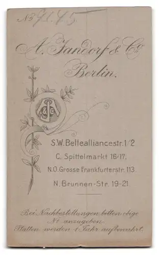 Fotografie A. Jandorf & Co., Berlin-SW, Bellealliancestrasse 1-2, Portrait junge Dame im Kleid mit Kreuzkette und Blumen