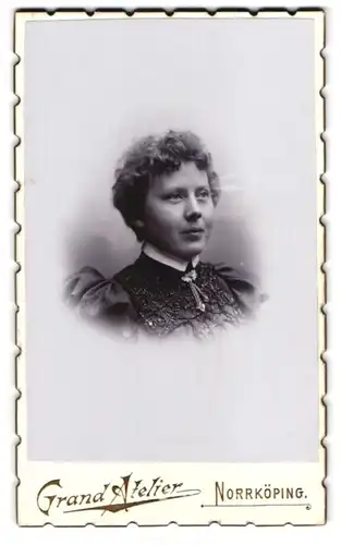 Fotografie Hj. Ljungqvist, Norrköping, Portrait junge Dame im bestickten Kleid