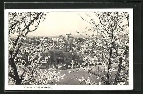 AK Kourim, Ortsansicht zur Zeit der Baumblüte