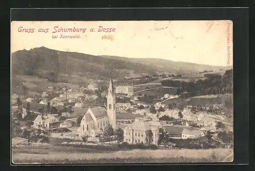 AK Schumburg a. Desse bei Tannwald, Panorama
