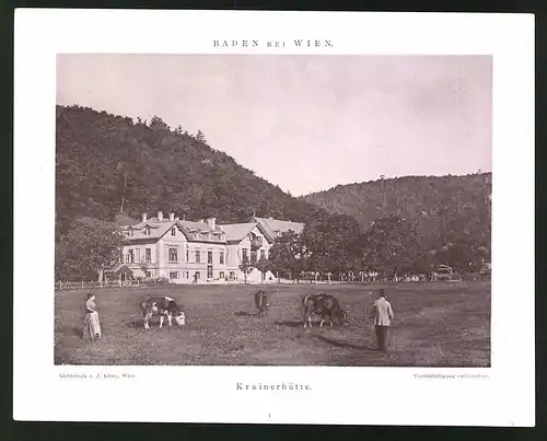 Foto-Lichtdruck J. Löwy, Wien, Ansicht Baden, Krainerhütte von einer Kuhweide aus, Fotografen-Trockenstempel links unten