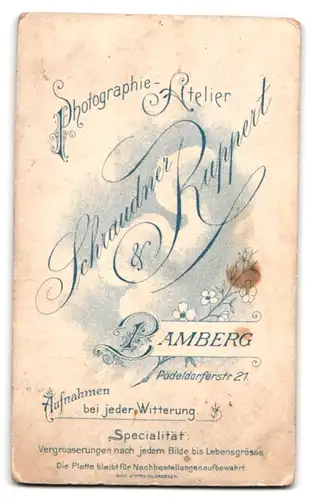 Fotografie Schraudner & Ruppert, Bamberg, Pödeldorferstrasse 21, Portrait junge Dame im hübschen Kleid