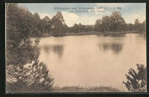 AK Blindensee / Schwarzwald bei Schönwald, Ansicht vom Blindensee