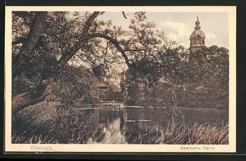 AK Hamburg-St. Pauli, Botanischer Garten