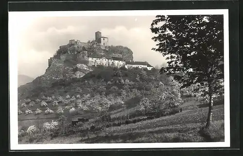 AK Hrad Strekov, Burg Schreckenstein