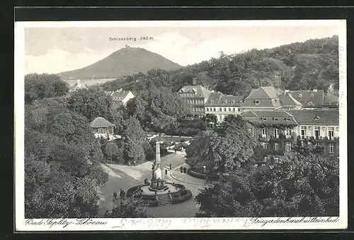 AK Teplitz Schönau / Teplice, Steinbad mit Kriegerdenkmal aus der Vogelschau