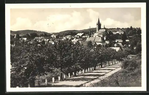 AK Tachov, Partie an einer Allee zum Ort