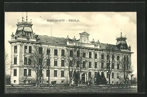 AK Mezimosti, Skola