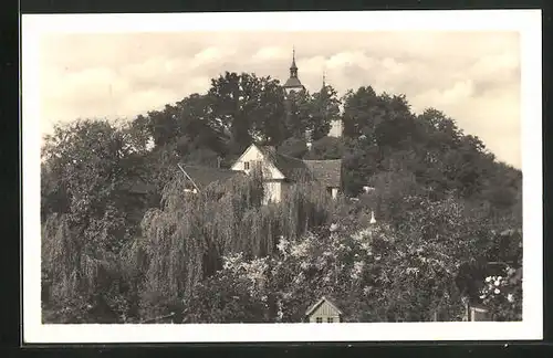 AK Trebechovice pod Orebem, Panorama
