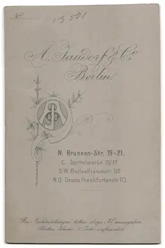 Fotografie A. Jandorf & Co, Berlin-N., Brunnen-Strasse 19-21, Portrait bürgerliche Dame im Kleid mit Buch