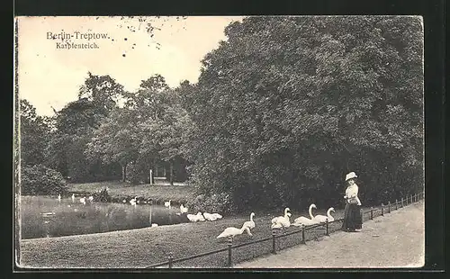 AK Berlin-Treptow, Schwäne am Karpfenteich