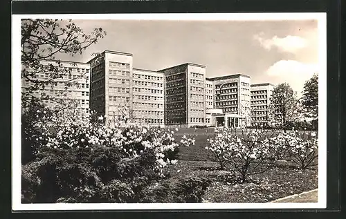 AK Frankfurt-Westend, Verwaltungsgebäude der I. G. Farbenindustrie AG, Grüneburgplatz